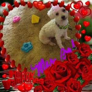 Meet your Posher, Candace